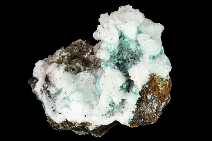 Aurichalcite and Calcite Association - Utah #146187
